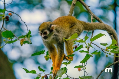 Top activities in Miami to do with your friends Fun things to do with friends in Miami, FL