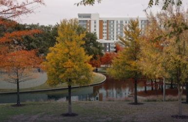 Car rentals in Addison, TX Car rentals in Addison, TX