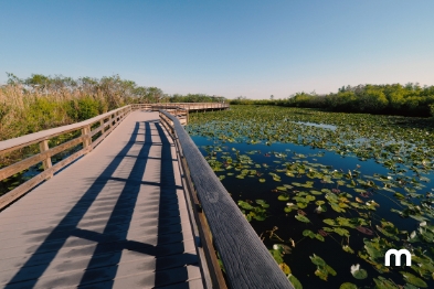  Planes para hacer en Fort Lauderdale
