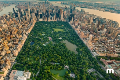 Explore NYC in 7 days Check out this New York itinerary for a week stay