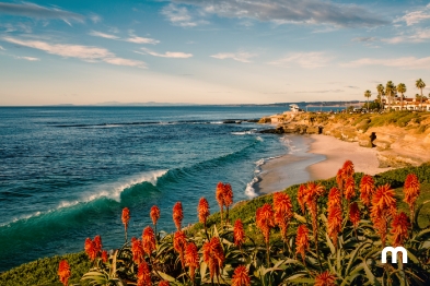 Conoce y disfruta las mejores playas de San Diego  Atractivas playas de San Diego, California