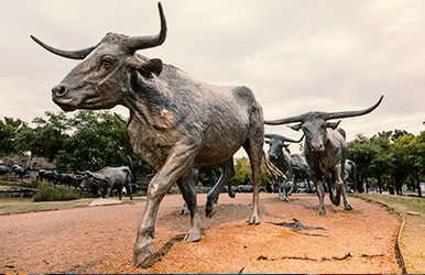 Alquiler de autos en Dallas